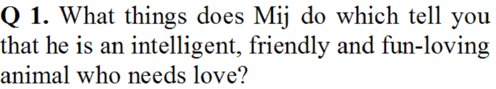 English CBSE Class 10 NCERT First Flight Chapter 8 Mijbil the Otter