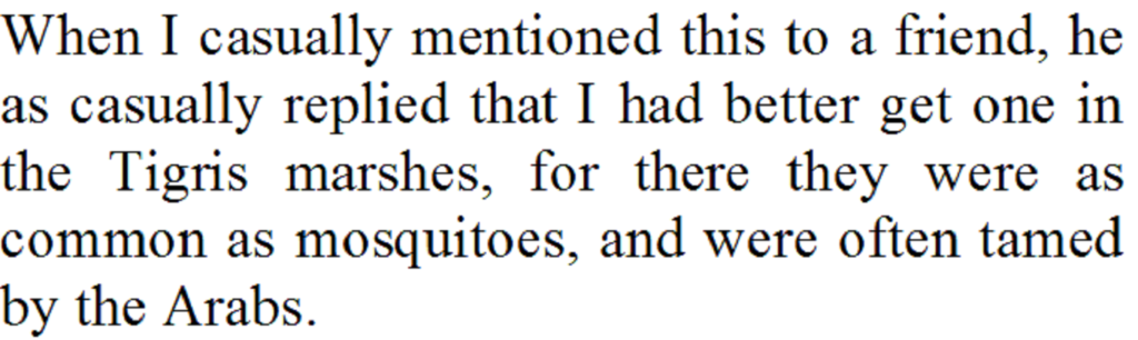 Mijbil the Otter Explanation, Line by Line, Meaning of Difficult Words